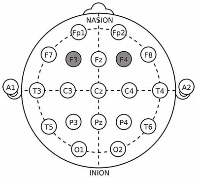 Effect of Modulating Activity of DLPFC and Gender on Search Behavior: A tDCS Experiment